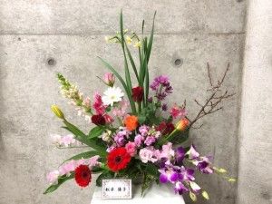 image8.jpeg